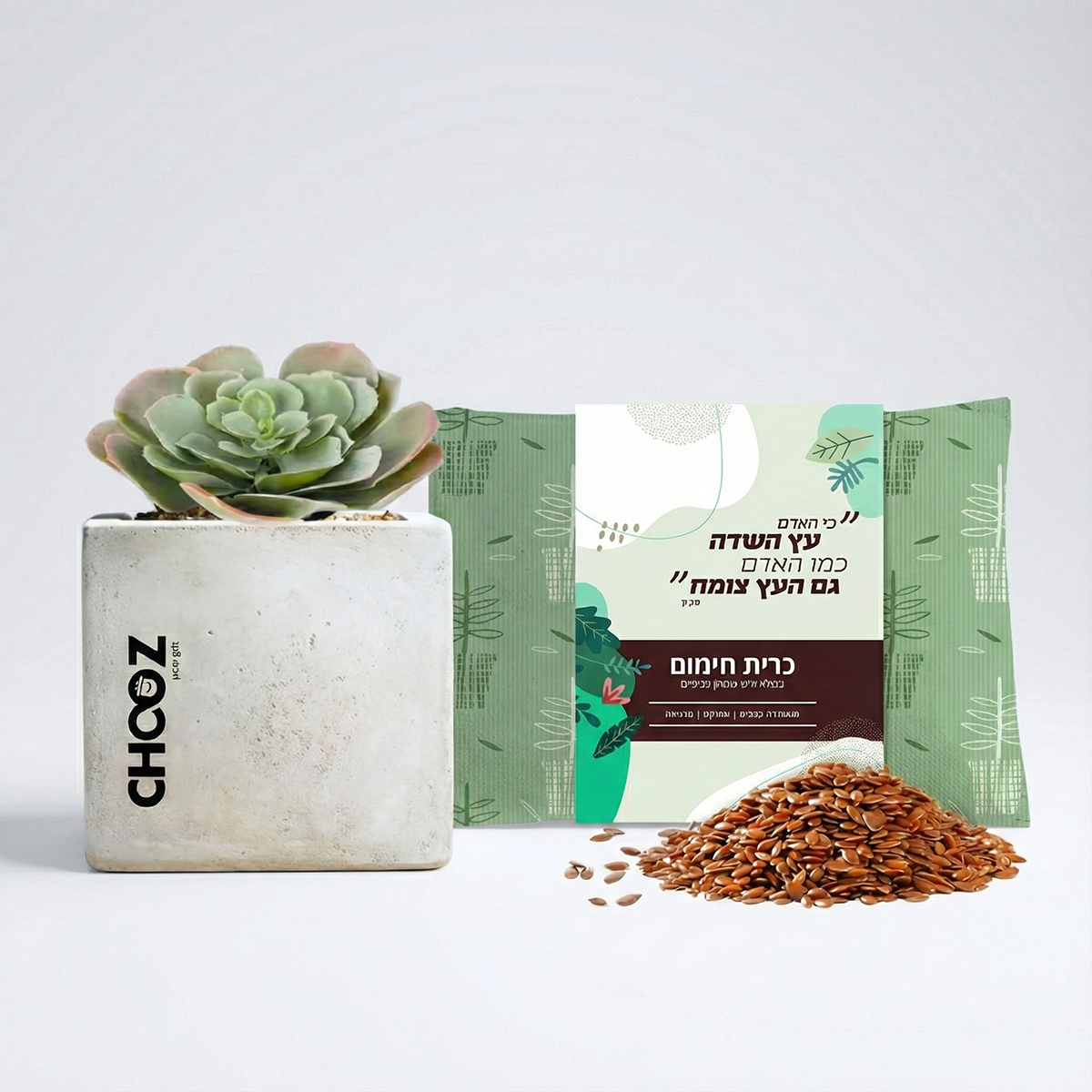 מארז מפנק כרית חימום וסוקלנט בעציץ בטון