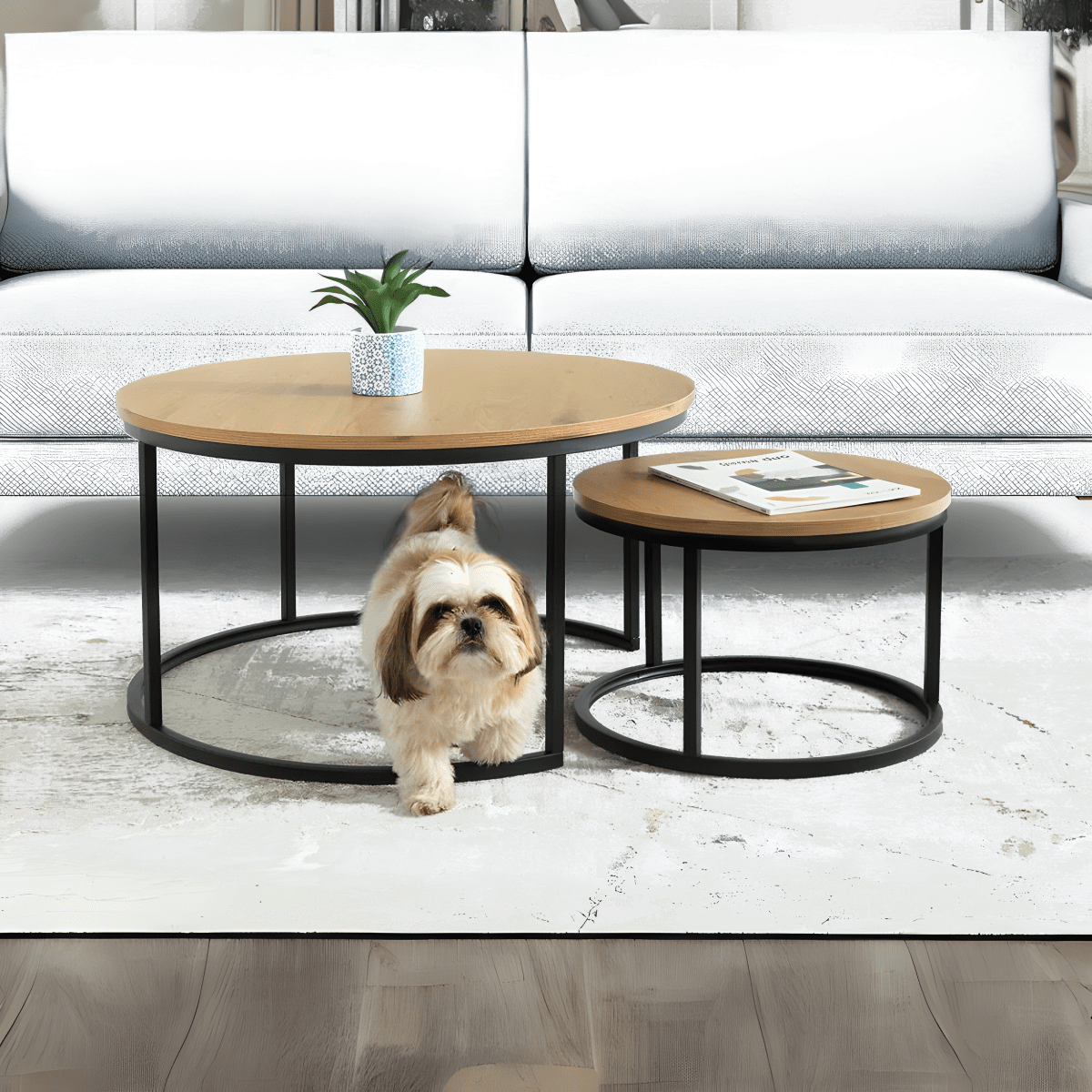 סט שולחנות סלון עגולים דגם חללית מבית שמרת הזורע