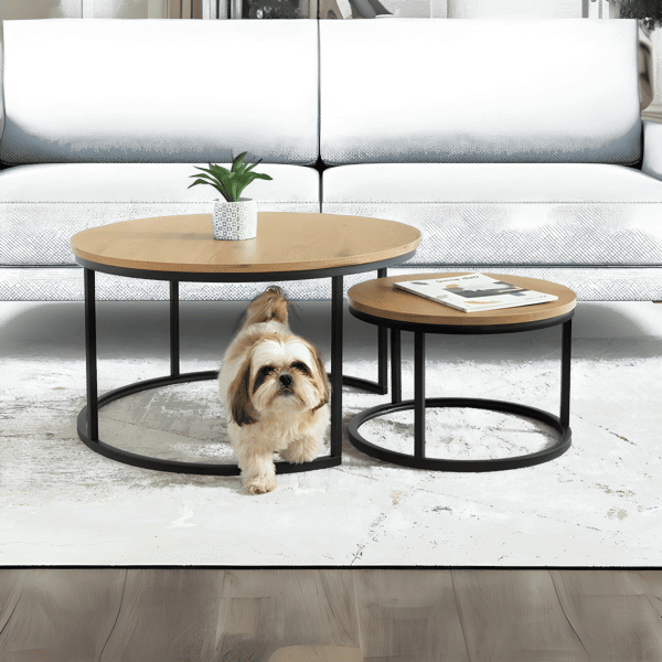 סט שולחנות סלון עגולים דגם חללית מבית שמרת הזורע