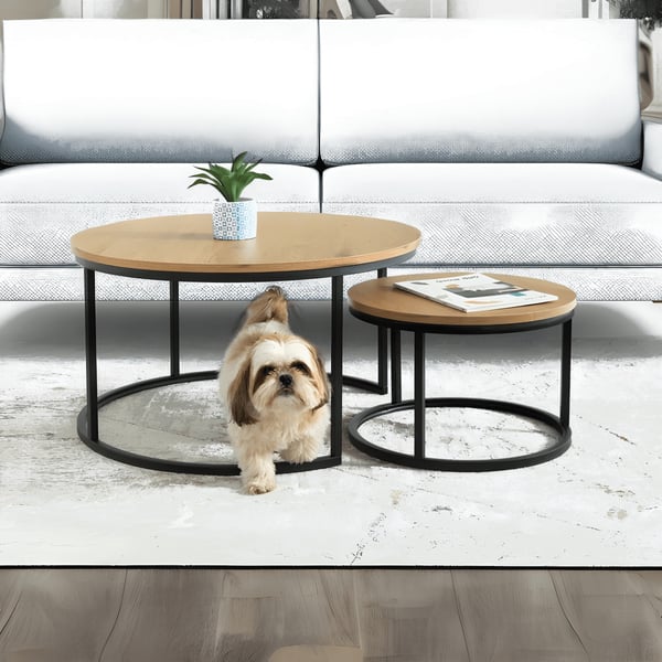 Round Coffee Tables Set Model Spaceship by Shamrat Hazorea