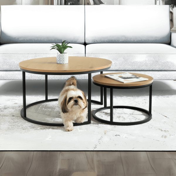 Round Coffee Tables Set Model Spaceship by Shamrat Hazorea