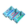 Professional Mobile Pouch for Walking and Running with Transparent Compartment