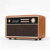 רמקול בלוטוס ורדיו בעיצוב וינטג' עם טווח רחב