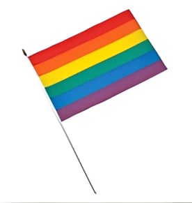 דגלון על מקל עם קשת בגודל 10X15 ס"מ