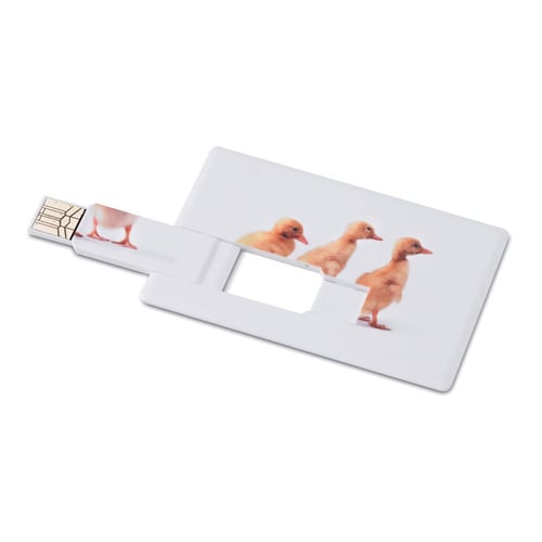 כרטיס זיכרון USB דק 4GB עם הדפסה צבעונית