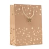 Premium Kraft Paper Gift Bag with Seasonal Design