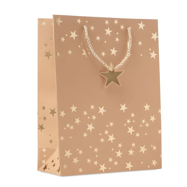 Premium Kraft Paper Gift Bag with Seasonal Design