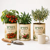 Shavuot Garden