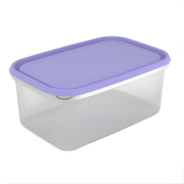 קופסת אחסון 4.4 ליטר 'ענבר' מרובעת עם מכסה דקורטיבי