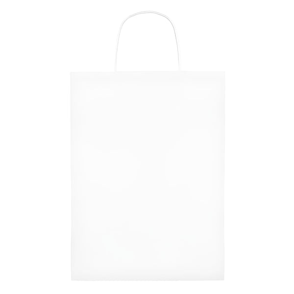 Large and Elegant Gift Paper Bag