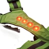 ROUNDVISIBLE