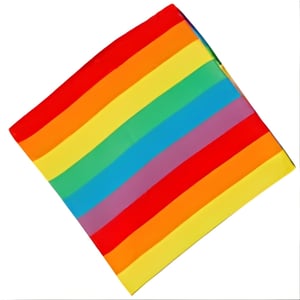 Trendy Colorful Hair Bandana