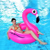 Giant Pink Inflatable Flamingo from POOL PARTY
