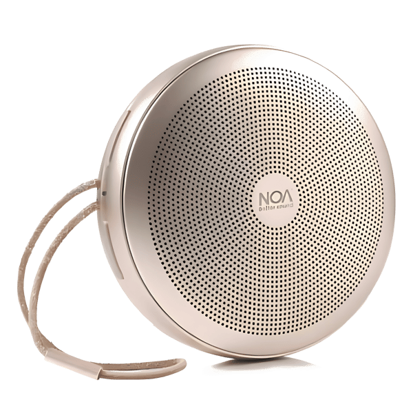 NOA Portable Bluetooth Speaker with TWS Technology & Hard Case