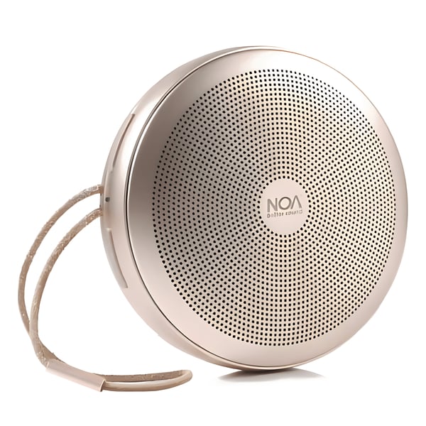 NOA Portable Bluetooth Speaker with TWS Technology & Hard Case