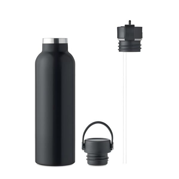 Insulated Water Bottle with Detachable Lid
