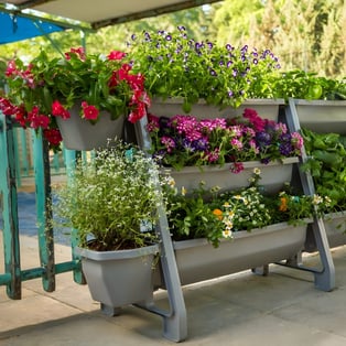 ערכת גינה אנכית מודולרית עם 3 אדניות ומתנה מיוחדת!