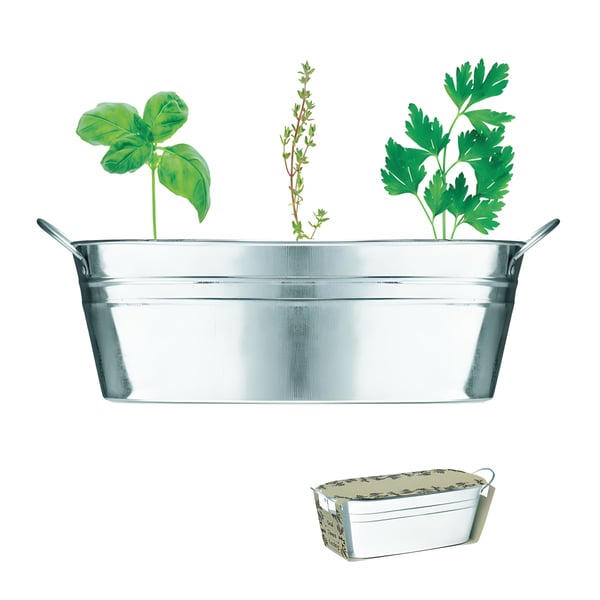 Herb Seed Collection in Zinc-Plated Planter