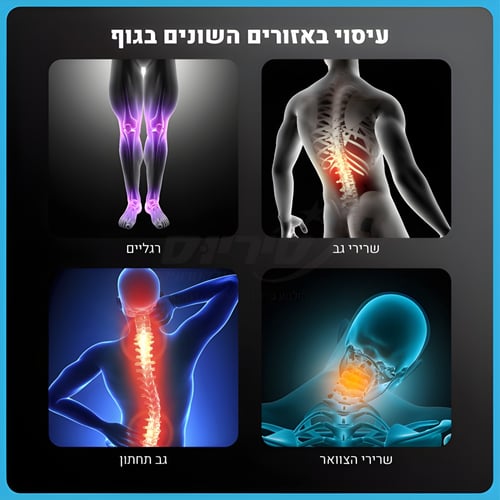 אקדח עיסוי מקצועי חזק ונייד מבית קארבון