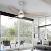 Modern 60-Inch Ceiling Fan with Remote and Lighting