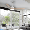 Modern 60-Inch Ceiling Fan with Remote and Lighting