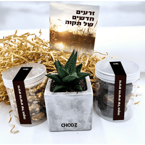 מארז זרעים לטו בשבט - התחלה חדשה של תקוה