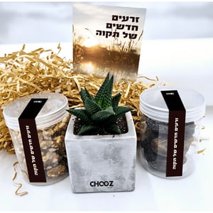Tu Bishvat Seed Kit - A New Beginning of Hope