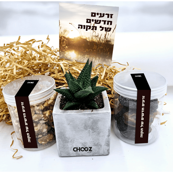 Tu Bishvat Seed Kit - A New Beginning of Hope