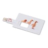 זיכרון USB כרטיס אשראי 32GB