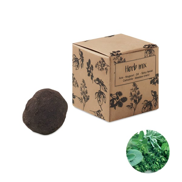 Herb Seed Growing Kit in Eco-Friendly Carton