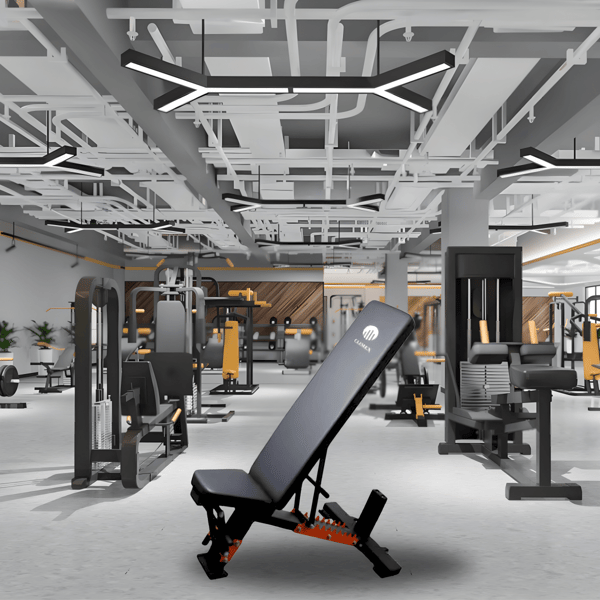 CLIMEX Adjustable Fitness Bench for Comprehensive Home Workouts