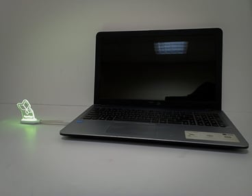 מנורת לד USB ממותגת עם לוגו