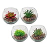 Artificial Succulent and Cactus Planters in Decorative Glass