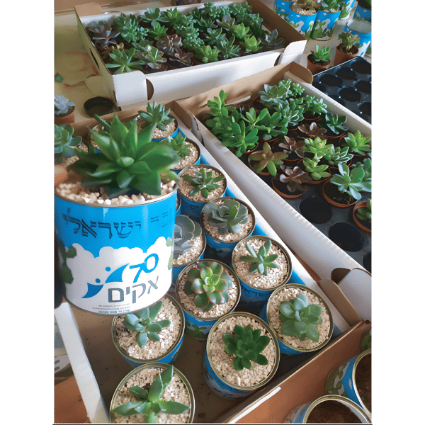 Stylish Branded Plant Pot