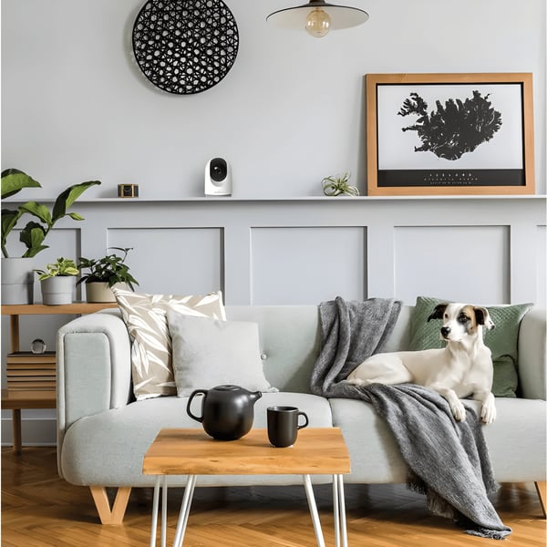 Wireless PTZ Security Camera by SEMICOM