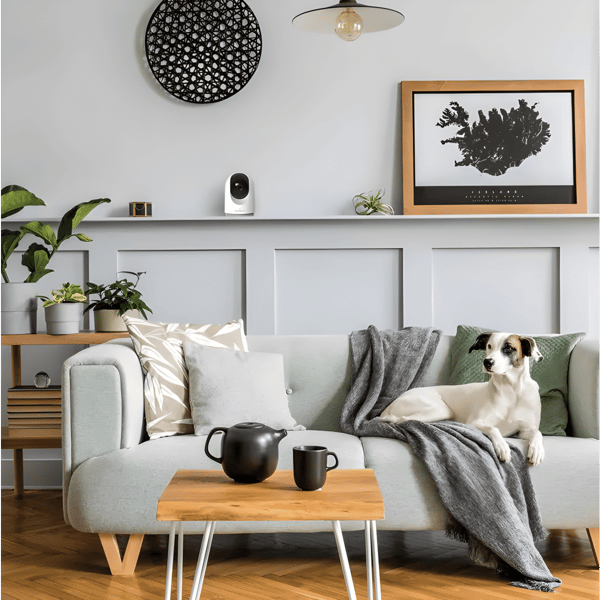 Wireless PTZ Security Camera by SEMICOM