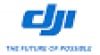 DJI
