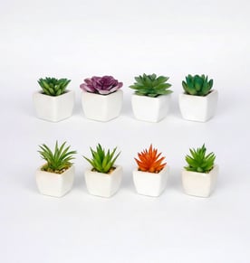 עציץ קקטוס מלאכותי דקורטיבי מרענן לחלל הבית