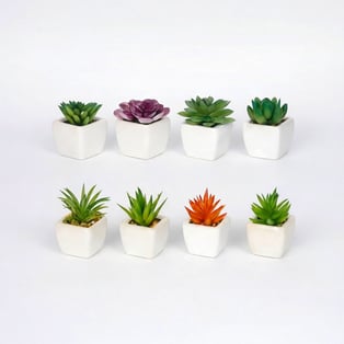 עציץ קקטוס מלאכותי דקורטיבי מרענן לחלל הבית