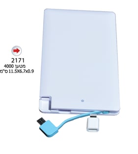 Portable Charger 4000 MAH - Ideal Employee Gift