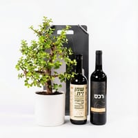 מארז מנהלים הכולל עץ בונסאי ובקבוקי יין ושמן זית