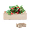 Strawberry Growing Kit with Wooden Crate and Compost