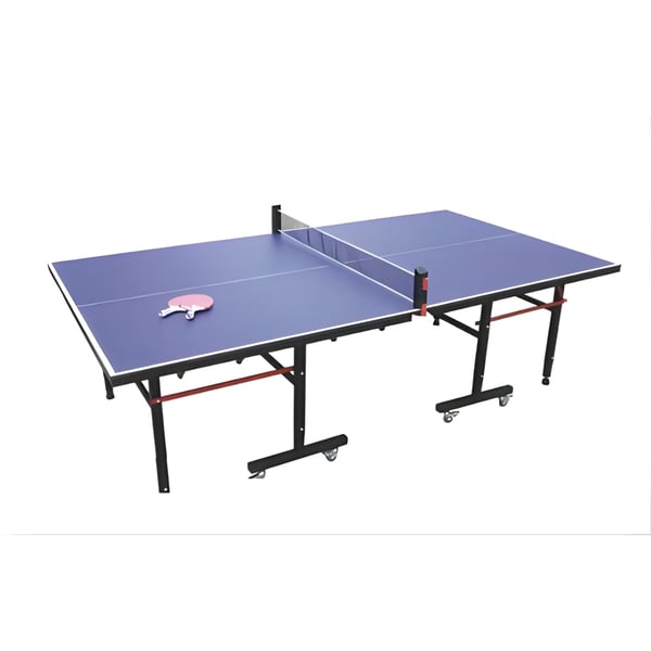 Professional Indoor/Outdoor Table Tennis Table