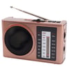 רדיו טרנזיסטור 4 גלים עם רמקול BT ומטען USB