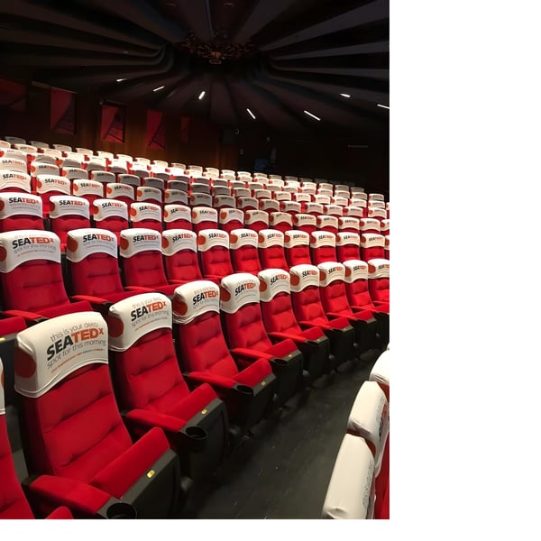 כיסוי אלסטי למשענת כיסא קולנוע עם הדפסה צבעונית