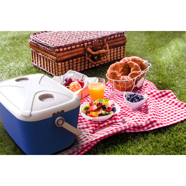 Multifunctional Picnic Basket with Built-in Radio