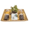 Festive Tu Bishvat Package - Healthy and Dried Fruits