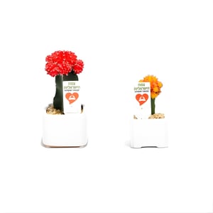 Personalized Small Ceramic Pots