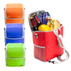 Alaska Versatile Design Cooler Bag