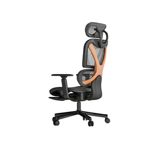 Ergonomic Executive Chair with Recline Mechanism by LUMI